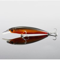 Proshooter Minnow 11 cm - cor 06