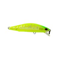 Raptor Minnow 70 - 32