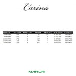 Carina 2000