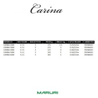 Carina 4000