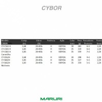 Cybor C 601 M - 10 a 20Lb