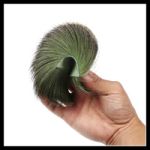 Deer Hair Verde