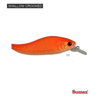 Shallow Crooked - cor 341