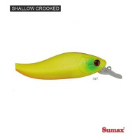 Shallow Crooked - cor 347